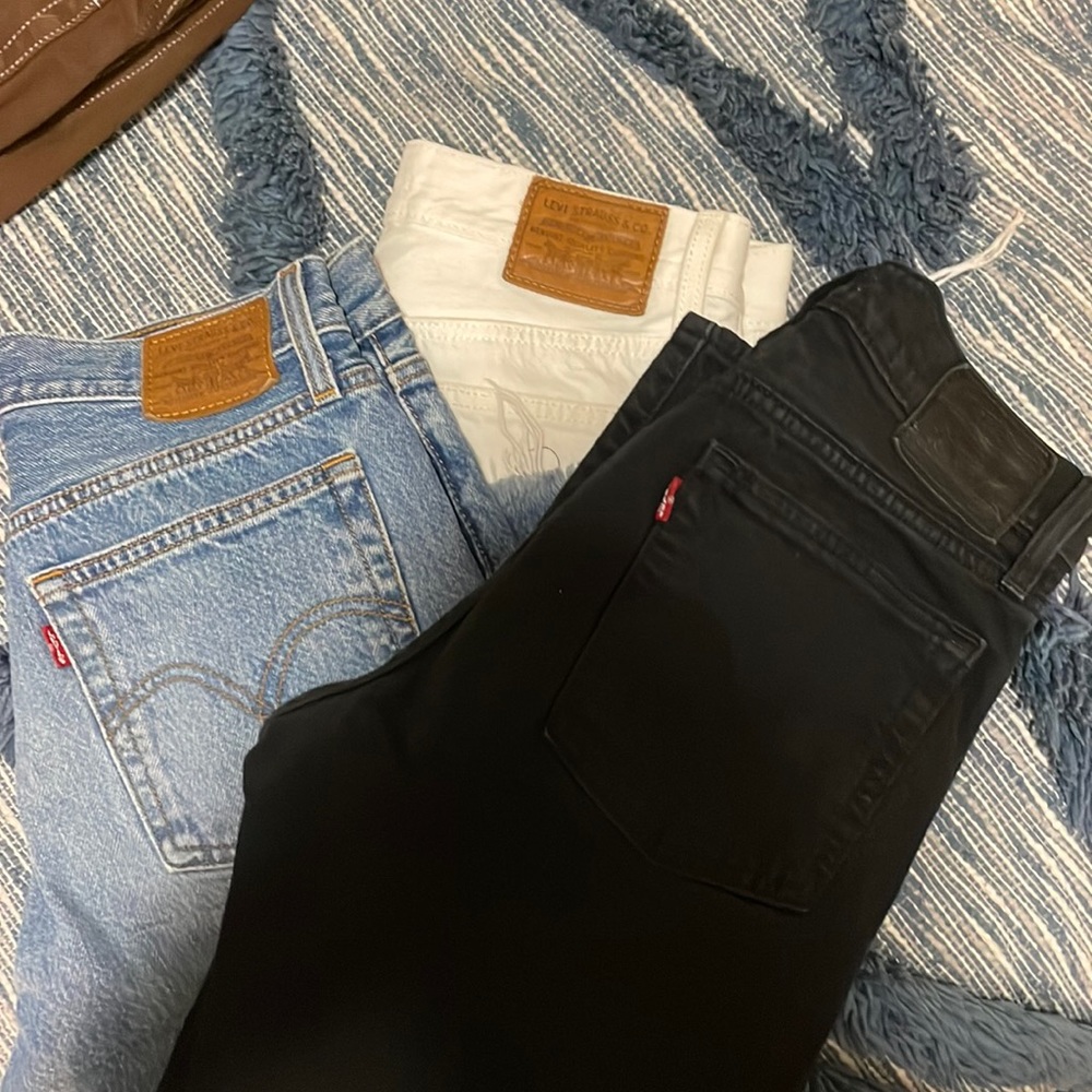 Levi bundle